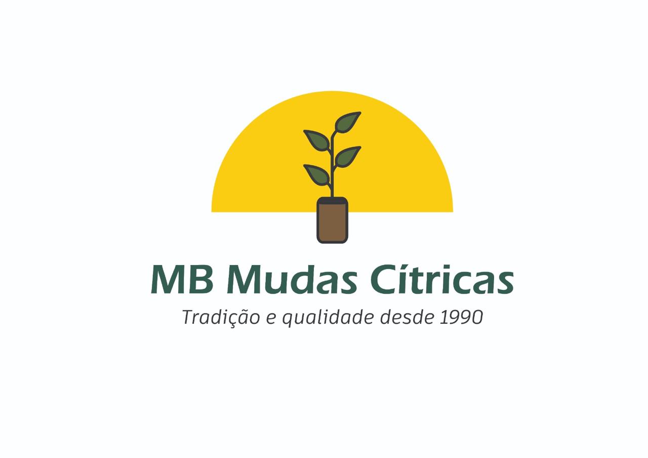 MB Mudas Cítricas